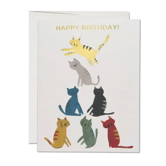 Gold Kitty Birthday Greeting Card