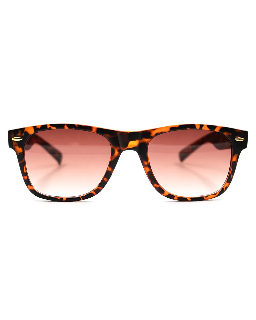 Wayfarer Brown Sunnies