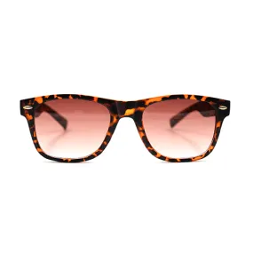 Wayfarer Brown Sunnies